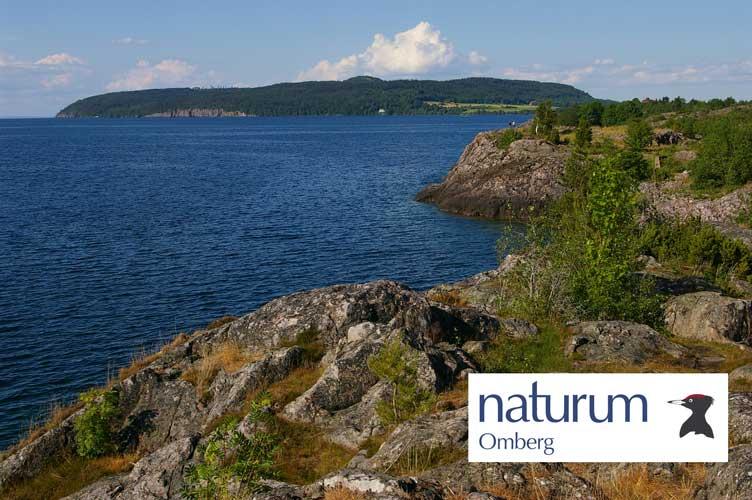 1 (20) Information 2007-01-30 Naturvårdsverkets diarienr 319-6891-07 Nf Länsstyrelsens diarienr 512-2674-08 VERKSAMHETSBERÄTTELSE Naturum Omberg 2008-01-30 Verksamhetsberättelse för Naturum Omberg År