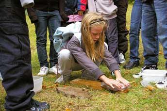 SID 13 guideturerna än motsvarande vanlig dag, ej heller Vilda blommornas dag, eller Slåtterängens dag. Gör som inlandsisen: Skrapa dina egna isräfflor! Geologins dag 2007.