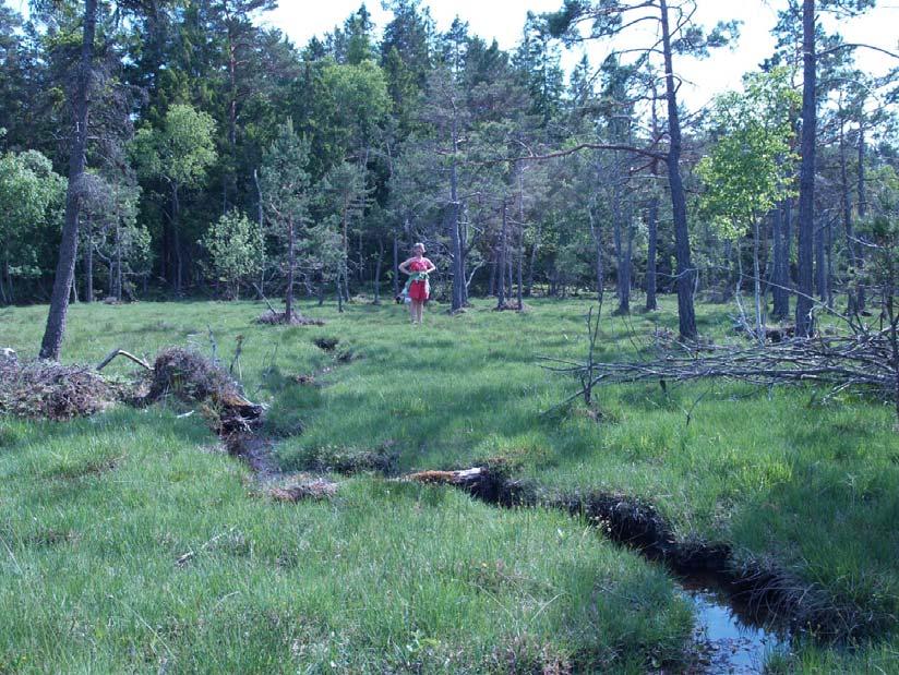 mjukmatta.
