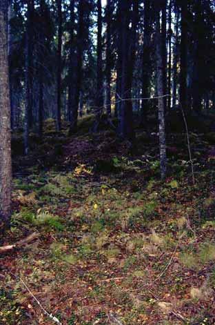 Örtinslaget var ganska stort.