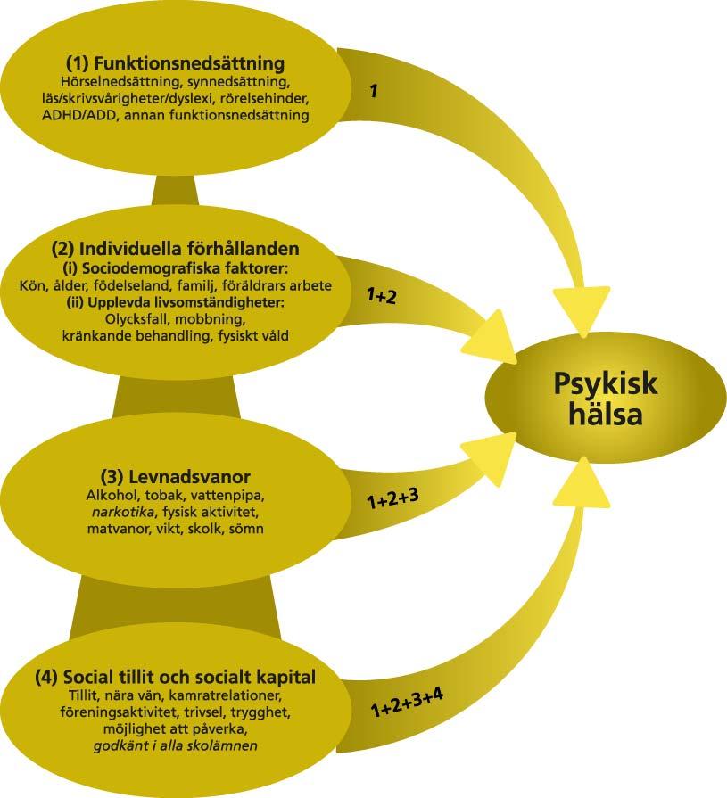 känt att vara positivt för hälsan (Cohen, Syme 1985). Social tillit och socialt kapital är tillsammans med de individuella förhållandena det som sammantaget utgör individens levnadsförhållanden.