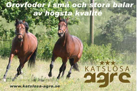 SÅ RÄKNAR DU UT VINSTEN PÅ Vid rätt antal rader med och rätt Antal sexor Summera antalet streck på kupongen och subtrahera med så får du fram antalet rader med rätt.