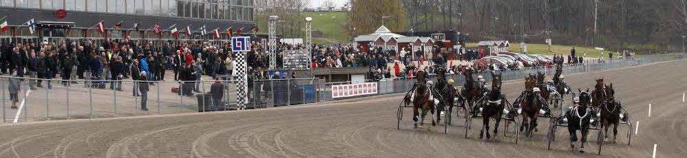 .00 Utdelning av HP-Guldet 0 Kl..0 Tips inför V-spelet Kl..0 Start lopp, V: Kl.. Start lopp, V: Kl..0 Vinnare av Harry Boy-väska Kl..00 Start lopp, Top Kl.. Start lopp 0, DD:/V: Kl.