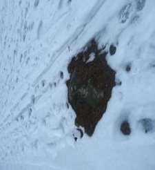 På den öppna ytan (vänster foto) ligger det ca 8 cm nysnö efter säsongens första snöfall. Bland barrträden är det nästan ingen snö alls (höger foto).