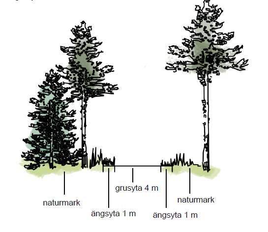Illustration över möjlig utformning av motionsslinga lämplig för längdskidåkning. Slingan har sex meters bredd vilket möjliggör ett till två klassiska spår samt fristilsbädd.
