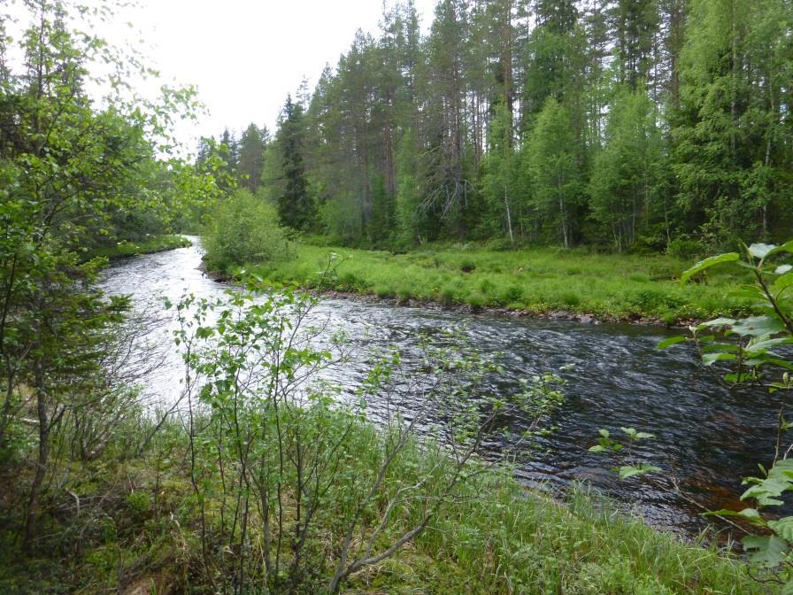 Tabell 3. Observerade rödlistade och/eller skyddade arter inom utredningskorridoren för Alternativ 1 väster om flygplatsen. Rödlistekategorin som omnämns är Nära hotad (NT).