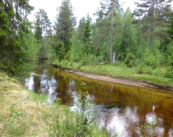Område N9 - Vattendrag Sittan Naturvärdesklass 3 - Påtagligt naturvärde Beskrivning: Meandrande vattendrag med sandbotten och sandkant.