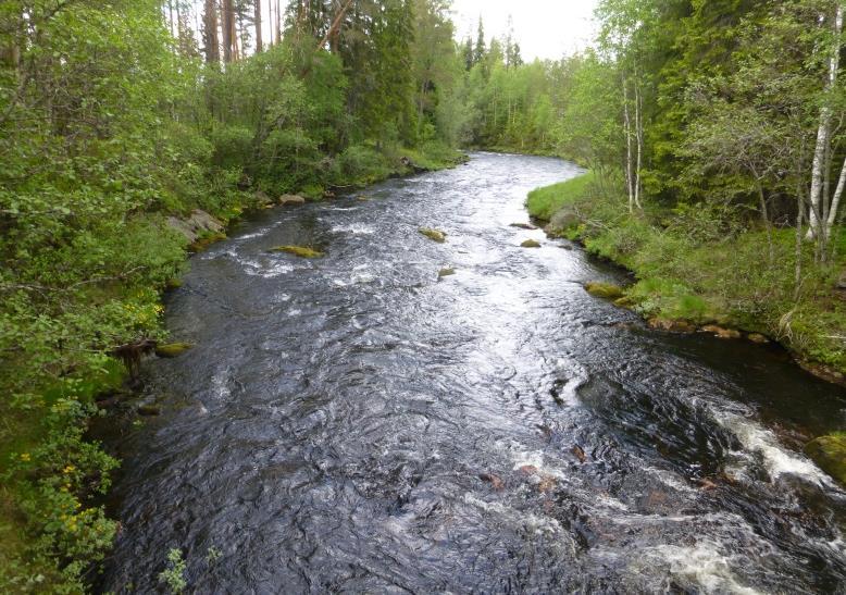 grusig botten. Partier med sten och block. Funktionell kantzon med gran, tall, björk och al där garnlav växer på flera av barrträden.