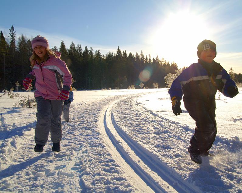 Ur Läroplanen: I lekens och det lustfyllda lärandets olika former stimuleras fantasi, inlevelse och kommunikation. Samarbete och problemlösning stimuleras.