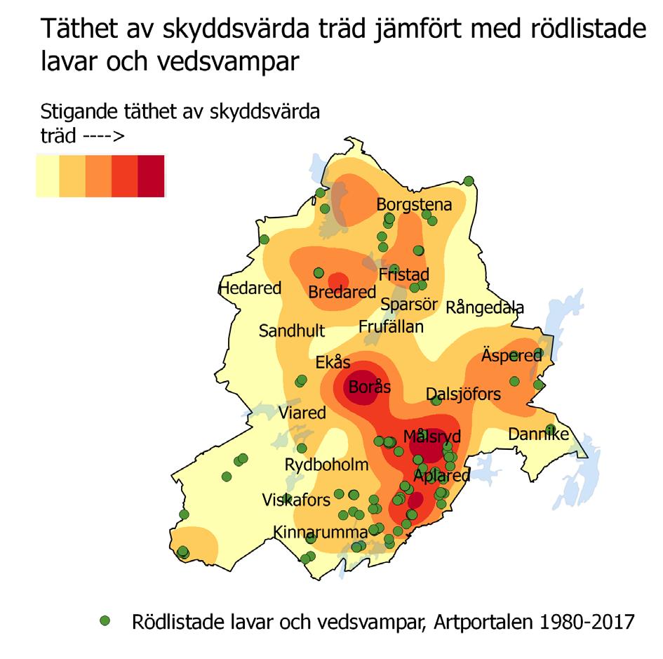 Täthet av skyddsvärda träd i relation med rödlistade lavar och vedsvampar. Inventerade alleér Kriterier för att inventeras som allé har varit minst 5 vuxna träd i rad.