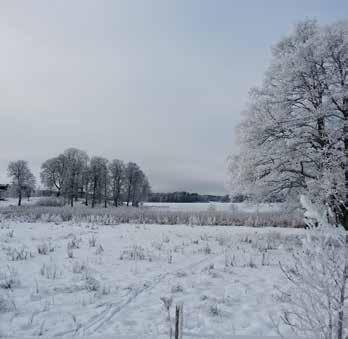 från våren 2018 Ansvarig