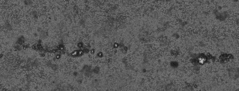 Braggs lag: nλ=2dsinθ (12) I detta projektet användes en Simens D 5000 GI- XRD. 3.