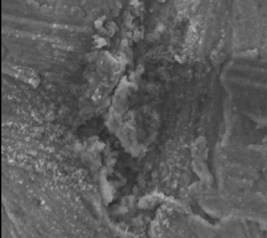 EDX analysen visade också att det fanns fläckar av krom som kan associeras med närvaron av Mo i området kring fördjupningen. a) 20 μm b) 20 µm Figur 14.