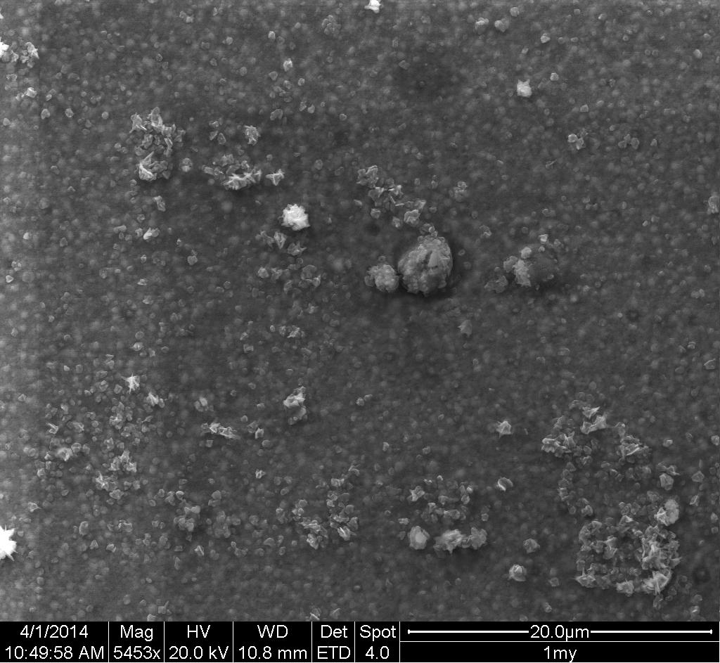 a) RE b) 5 μm 20 μm Figur 15. SEM- bild av typen SE från 1 μm provet som föroxiderats vid 900 C i 24 timmar.