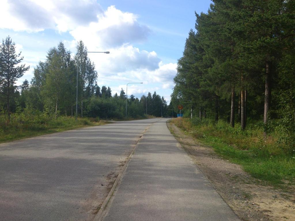 FÖRUTSÄTTNINGAR, FÖRÄNDRINGAR OCH KONSEKVENSER Mark och vegetation Planområdet består idag till största delen av skogsmark och är i huvudsak plan.