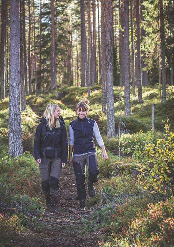 Sommaren 2017 Evenemang,