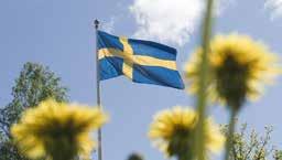 30 Nationaldagsfirande i Norlbygda vid Zenit. Musik, servering och blomsterlotteri. Ti 6 Västanede 18 On 7 Bräcke 18.30 Nationaldagsfirande i Håsjö nya kyrka.