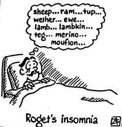 INSOMNI
