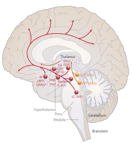 FARMAKOLOGISK BEHANDLING AV INSOMNI Sedativa antidepressiva, sedativa antihistaminer kan ev.