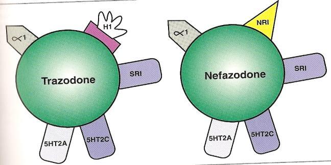 +/- SSRI +/- Mirtazapin +/-