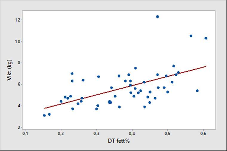 Figur 16. Punktdiagram som visar förhållandet mellan kroppsvikt och DT fett% hos de 52 levande katterna. Den röda linjen är en regressionslinje. Figur 17.