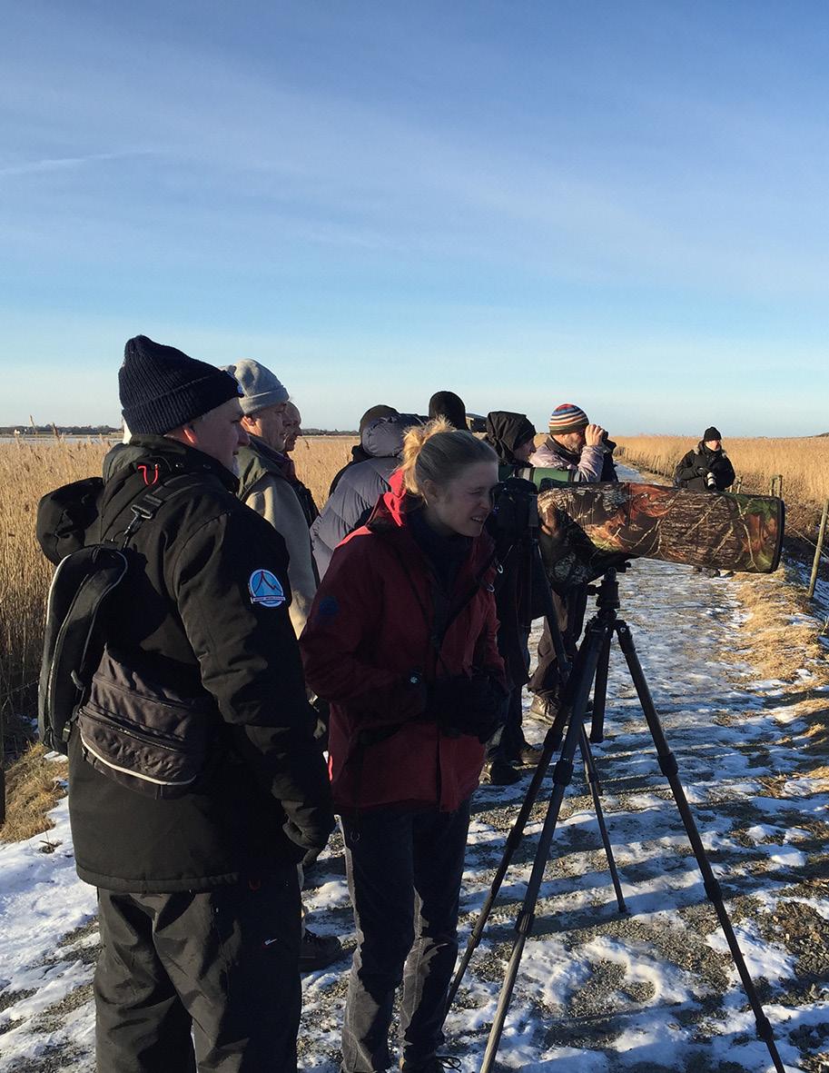 Träff 4: Att artbestämma fåglar i fält Den fjärde träffen fokuserar på hur man kan lära sig hur olika fågelarter sjunger. Något som är särskilt viktigt om en fågel är svår eller omöjlig att få syn på.