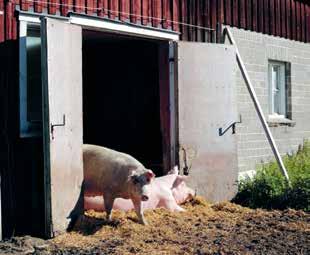 Föräldrarna drev gården fram till 2008 och hade redan då gått över från mjölkproduktion till grisuppfödning för att få mer tid i skogen.