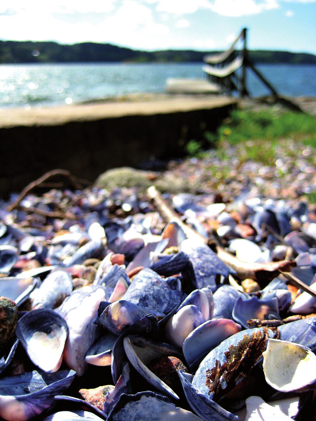 Strandön Markudden 183 Strandön Ranja 172 Strandön Stegeholm 162 Strandön Vingnes 155 Strandön Tønnevold 148 Strandön Ungdomsgården södra 110 Strandön Ungdomsgården norra 110 Njut med förnuft Låt