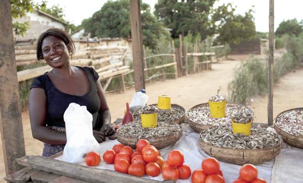 SÅ HÄR FÖLJER VI UPP VÅRT ARBETE Att arbeta effektivt med planering och uppföljning har varit ett område under stark utveckling inom ActionAid de senaste åren.