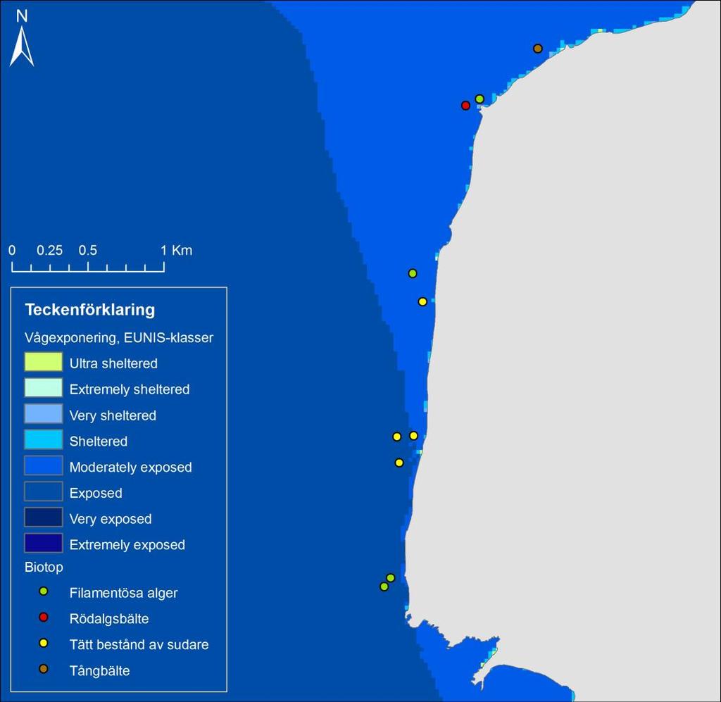 Figur 4 visar en översikt över biotoper i de undersökta områdena. Biotoperna har klassats utifrån dominerande biota enligt samma principer som i nivå 5 och 6 i HELCOM HUBsystemet.