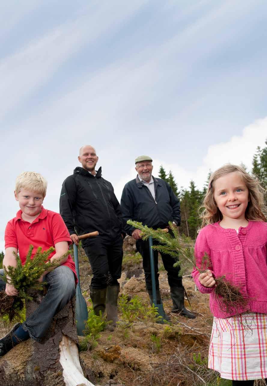 Våra hus byggs av virke från 60 träd och med 70 års erfarenhet.