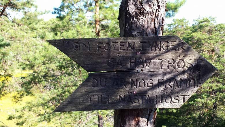 Folkhälsans sida! Lokalföreningen i Geta Hej! Nu närmar sig deadline för Getabladets stora sommarnummer, och det är dags att skriva lite om Folkhälsan närmaste planer. Grottloppet Den 21 juni kl 19.