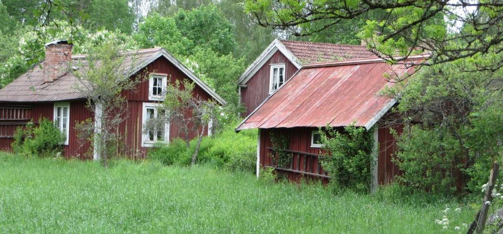 fönster.