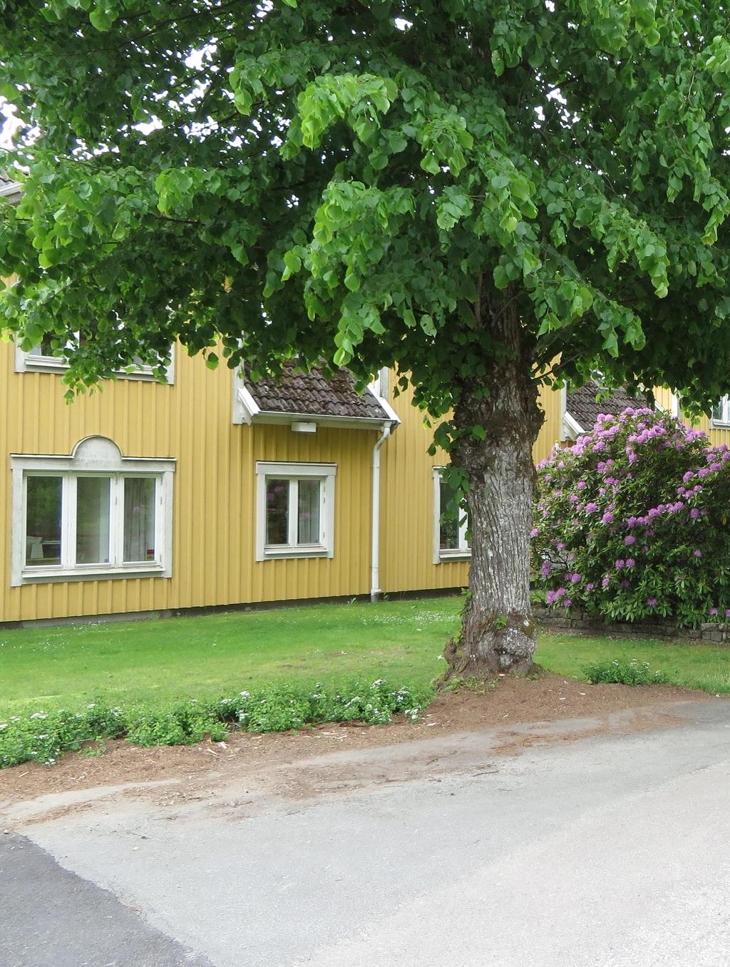 Långasjö socken, 2014-10,