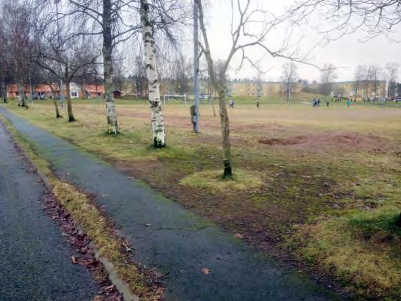 några särskilda naturvärden inom planområdet, inte heller några skyddsvärda träd enligt länsstyrelsens inventering.
