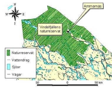 Natur i Norr, Umeå Årgång 26 (2007), häfte 1:1-8 Insekter från Ammarnästrakten i Lycksele lappmark ROGER B.
