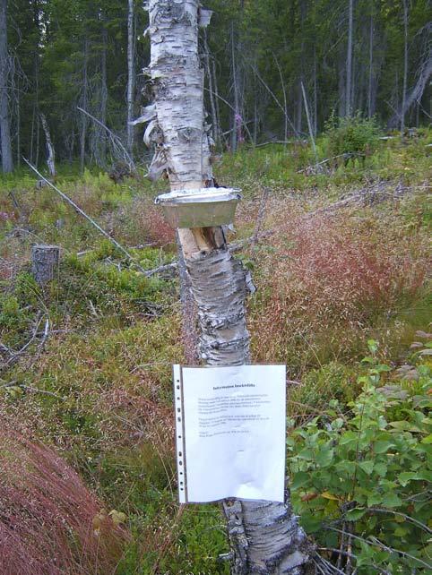 Roger Pettersson m fl 5 fler arter, inklusive de rödlistade, hittades på kalhygget utanför reservatet.
