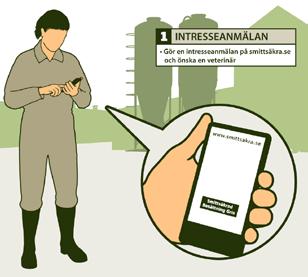 Alla besättningar som idag är anslutna till något av de frivilliga salmonellaprogrammen kommer inför programstart att få mer information om Smittsäkrad Besättning Gris.