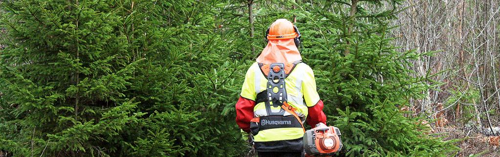Ordinarie allmänningsstämma hålls i Forsmarks byastuga måndag 2017-05-22 kl 12.