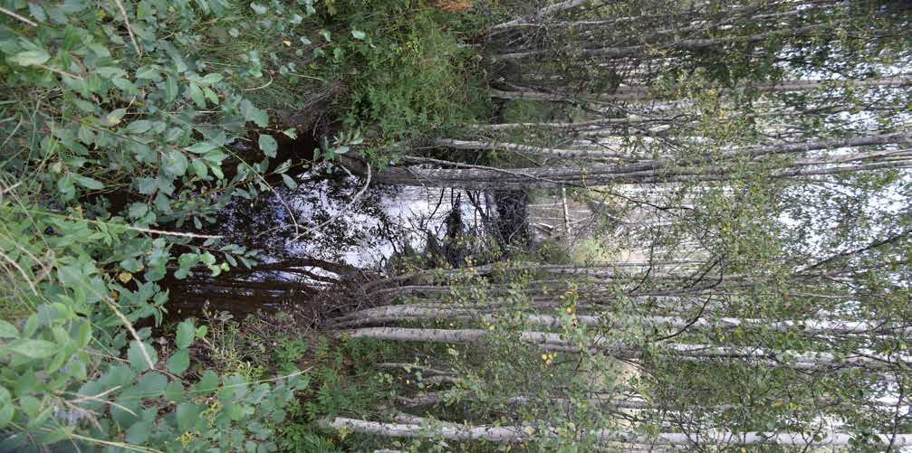 RÄTTSFÖRHÅLLANDEN FASTIGHET Nyåker 1:11, Heden 8:11 och Skogsta 3:29 i Ljusdal- Ramsjö församling, Ljusdals kommun.