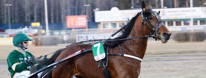 Start 9: ODDS tvilling Bankod Svensk Travsports Grundserie --åriga svenska högst 0.000 kr. 0 m. Tillägg 0 m vid vunna 0.00 kr. PLATS Pris: 0.000-.