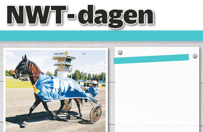 Start 9: Bankod b ODDS tvilling Bequine-Professional Horse Care - Spårtrappa -åriga och äldre 80.000-0.000 kr, körda av B-C-D-E- eller F- licensinnehavare. 0 m. Autostart. startande. PLATS Pris: 0.