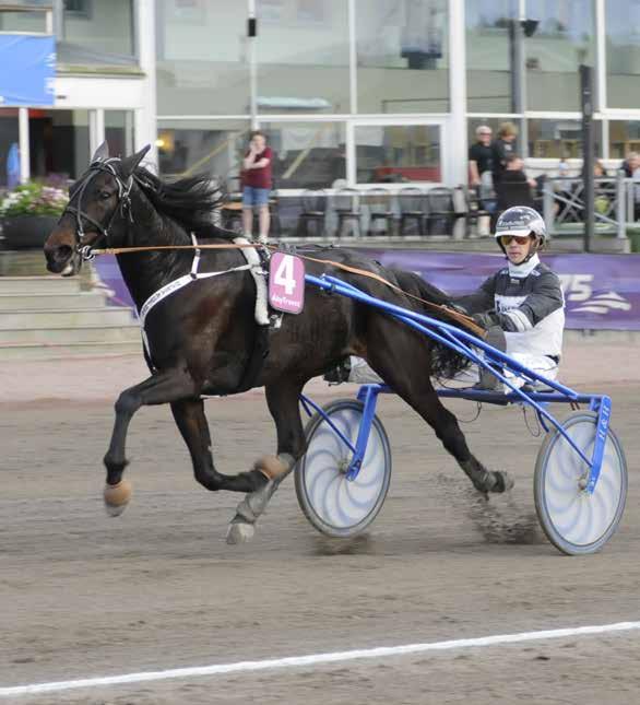 Bli en del av upplevelsen