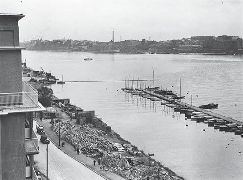 Behov av åtgärder har tidigt identifierats för strandskoningar, bryggor, gångvägens sträckning och beläggning, lekplatsen, sittplatser, belysning och föryngring av parkens bestånd av björkar.