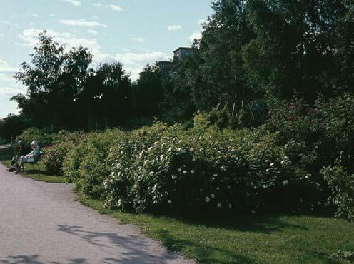 arkiv, Stockholms stad. Huvudstråket, 1953.