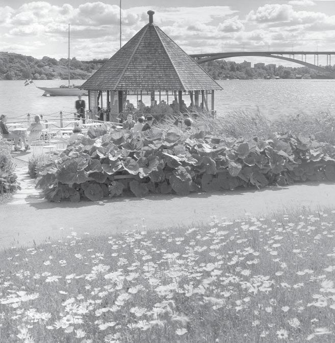 Sittplatser ordnades på brygga liksom i paviljong och vid stranden fanns små sittgrupper omgärdade av hög strandvegetation.