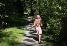 Mössens favoritplats Hasselmössen gillar att leva bland lövskog och därför passar denna miljö utmärkt för den lilla gnagaren.