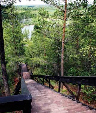 Mountainbike I Kvarntorps friluftsområde finns våra tre mountainbikeleder i varierad svårighetsgrad.