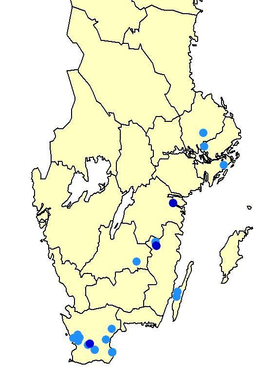 Fransgökbi var inte känt från Sverige fram till 2005 då det upptäcktes på två lokaler i östra Östergötlands län (Svensson & Nilsson 2006).