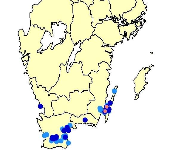 Figur 14. Utbredningen för monkesolbi till vänster och för kölblodbi och stäppbandbi till höger. Rödtoppebi finns noterat från Skåne, Blekinge och Kalmar (Öland) län.